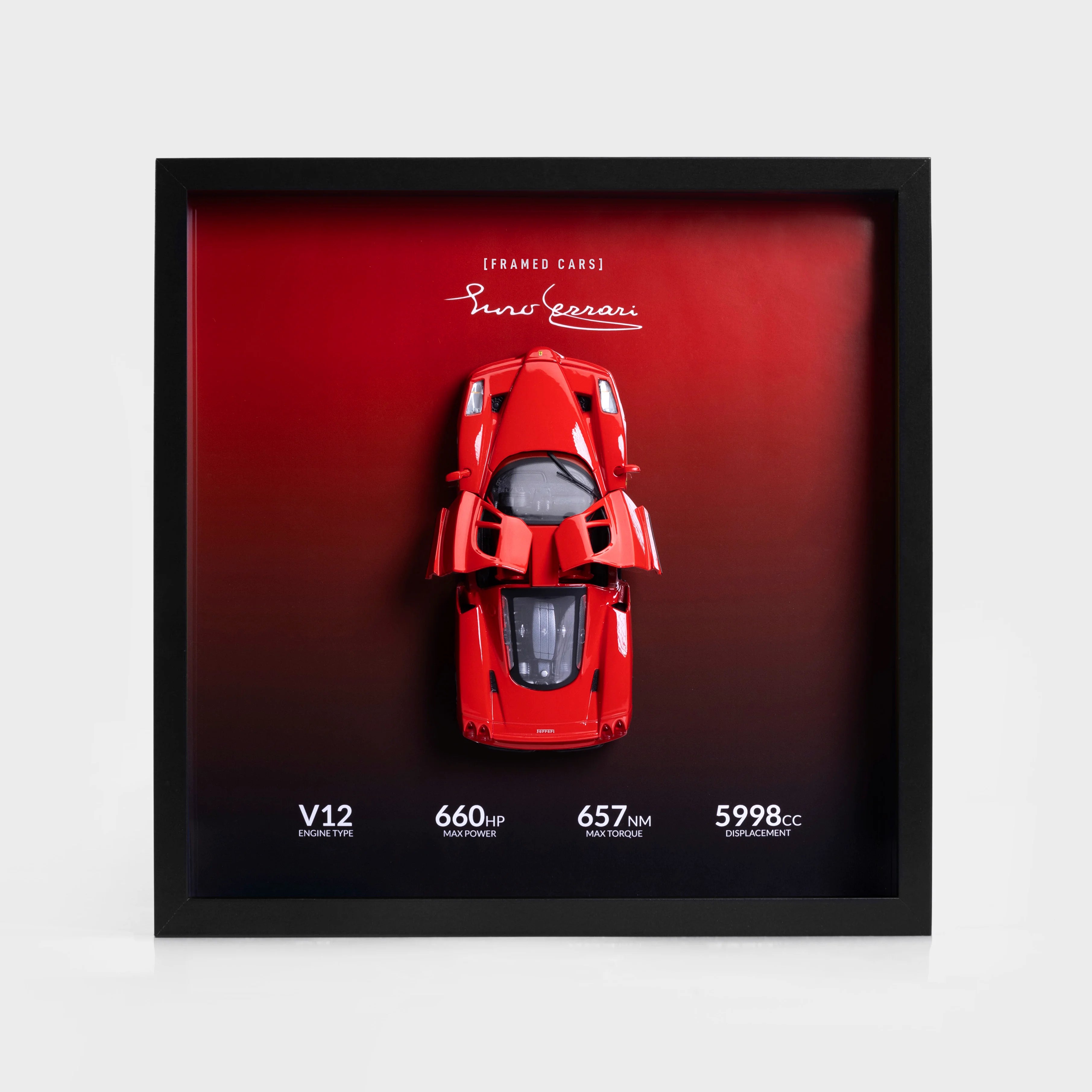 Ferrari Enzo - 1:24